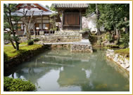 龍王寺の白水の池